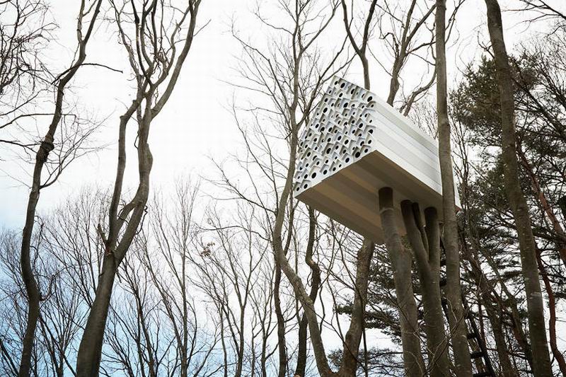 Rumah Pohon Di Jepang Ini Dibuat Untuk Burung dan Manusia (3)