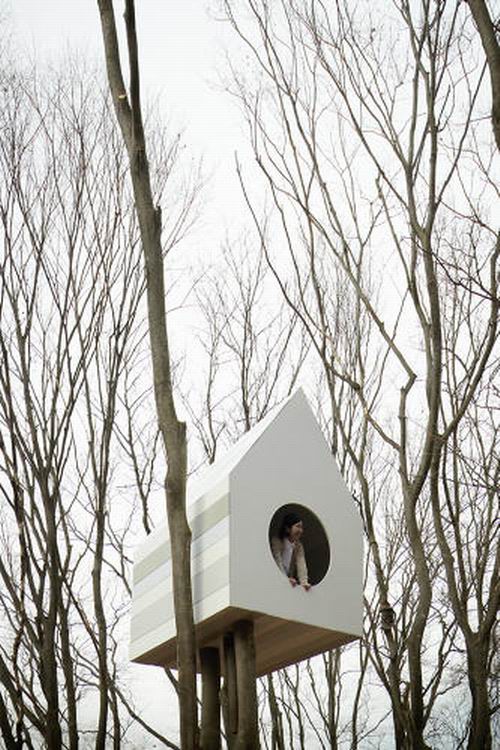 Rumah Pohon Di Jepang Ini Dibuat Untuk Burung dan Manusia (6)