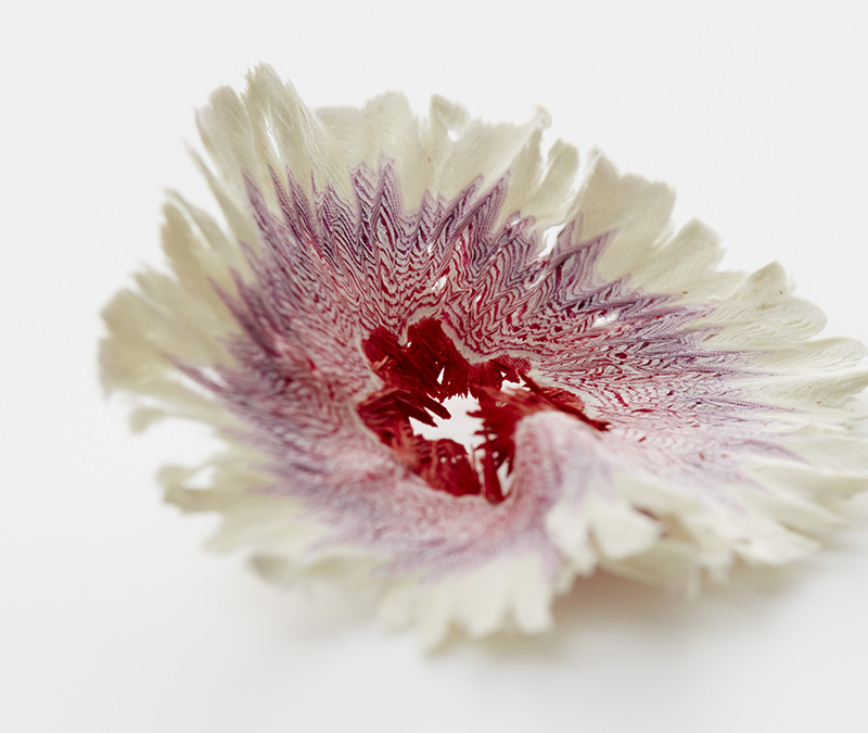 Seniman Jepang Ubah Sisa Rautan Pensil Menjadi Bunga-bunga Indah (2)