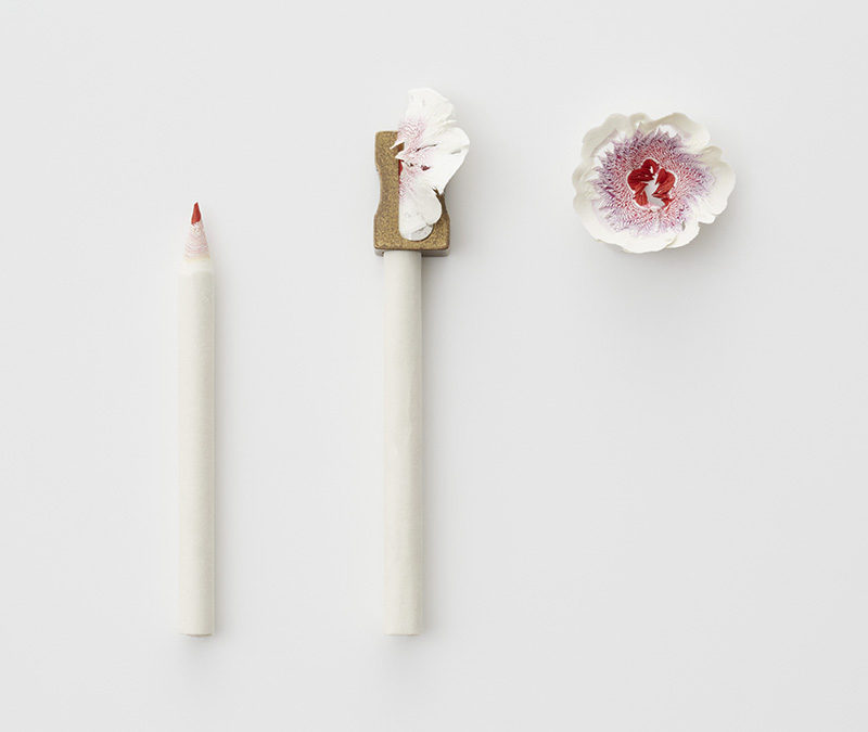 Seniman Jepang Ubah Sisa Rautan Pensil Menjadi Bunga-bunga Indah (4)