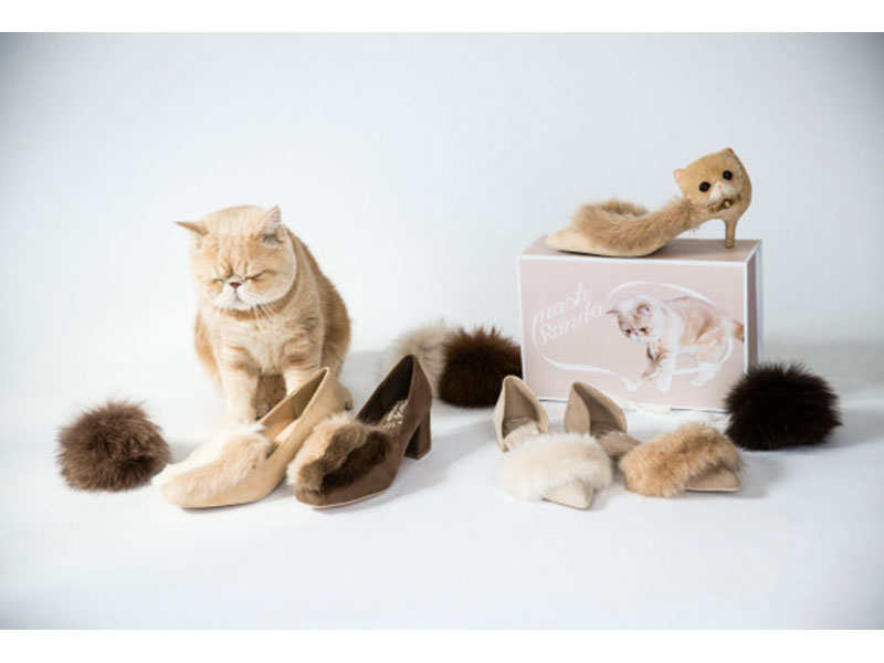 Koleksi Sepatu Lucu Terinspirasi dari Kucing  Jepang  yang 