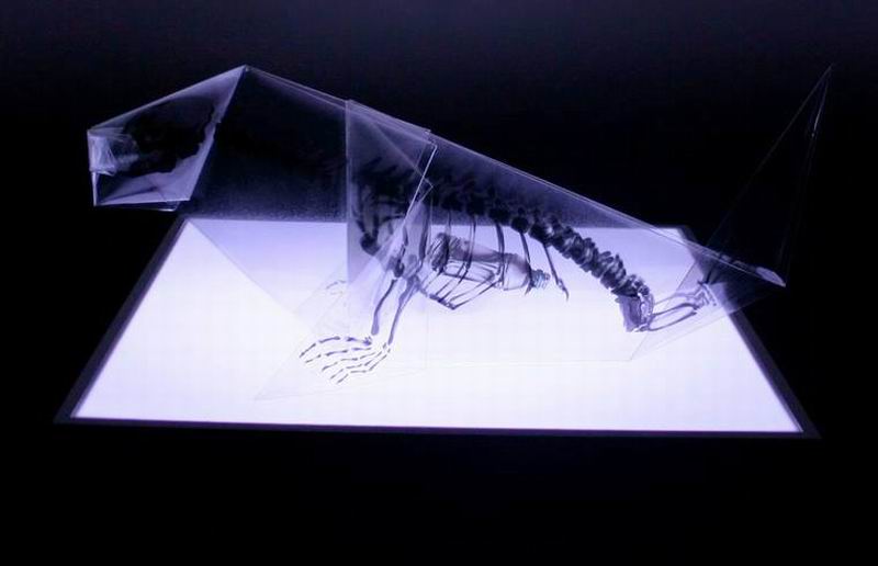 sugoi-seniman-jepang-buat-origami-anatomi-tulang-hewan-gunakan-x-ray-5