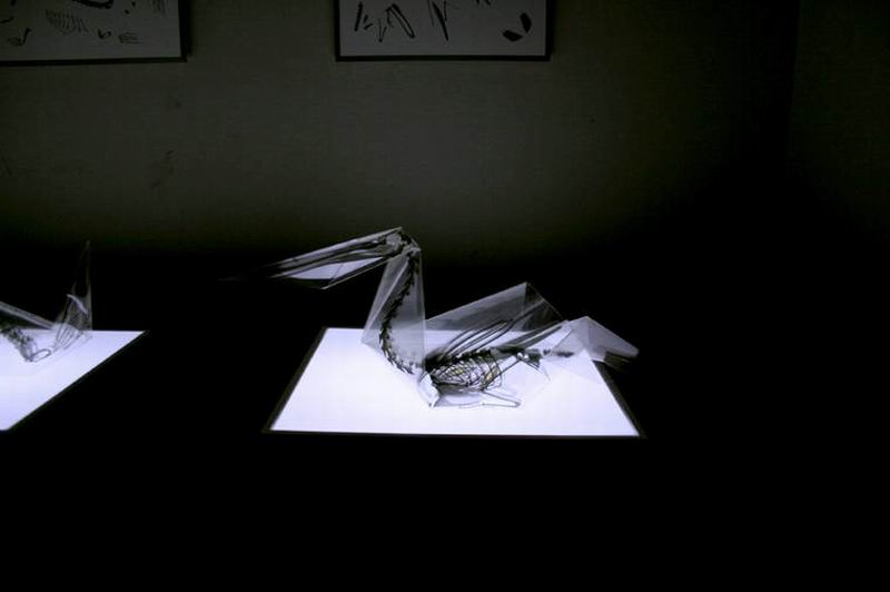 sugoi-seniman-jepang-buat-origami-anatomi-tulang-hewan-gunakan-x-ray-6