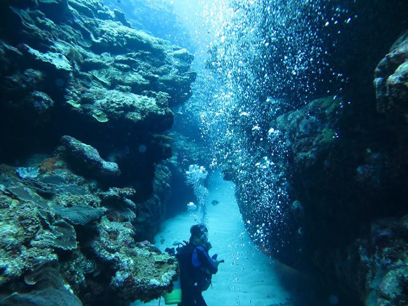 7 Lokasi Menyelam Terbaik di Jepang