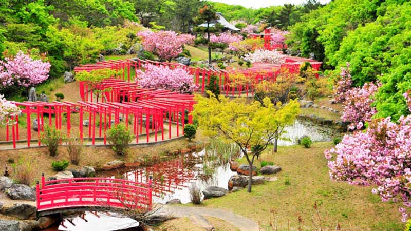 Takayama Inari Jinja, Kuil Dengan 201 Torii yang Menyerupai Naga