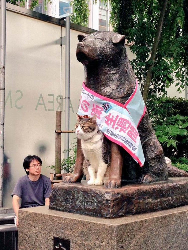 Anjing di Jepang Berpose di Depan Patung Hachiko Buat Orang-orang Terharu