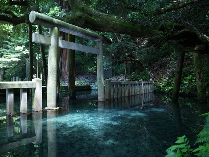 Kuil Jepang Ini Punya Sesuatu yang Berbeda di Dalamnya, Kirei!