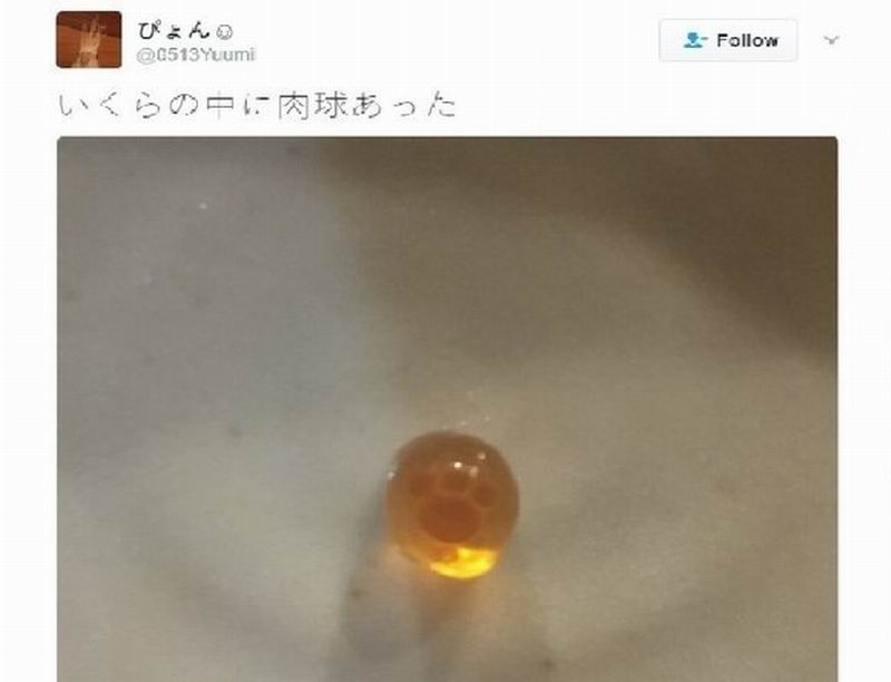 Wah, Pengguna Twitter di Jepang Temukan Jejak Kaki Kucing di Telur Ikan Salmon!