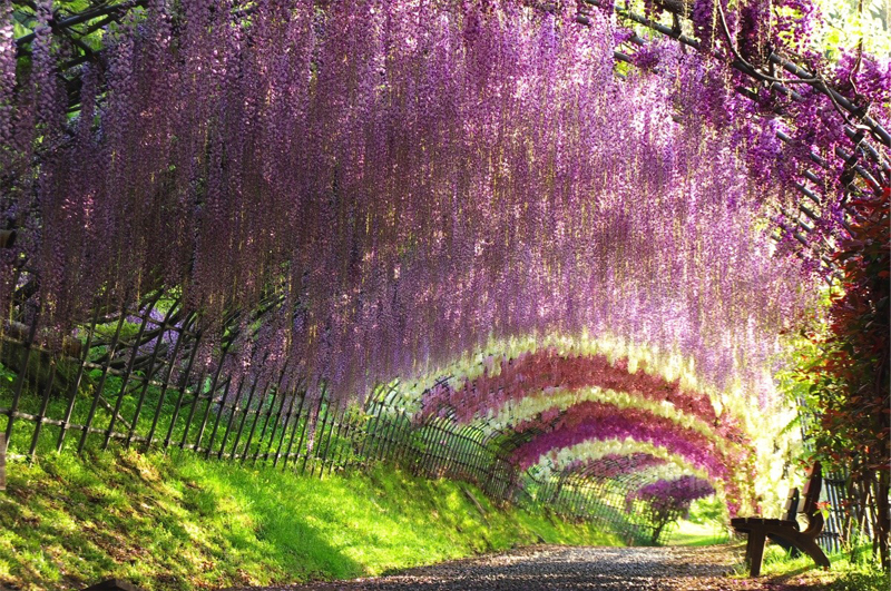 9 Tempat Indah Yang Jarang Diketahui Di Kyushu Japanese 