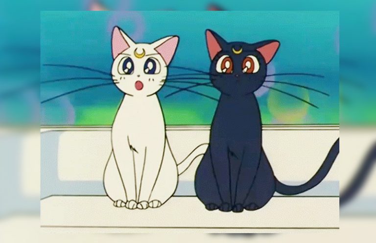  Gambar  Inilah 7 Kucing  Anime  Lucu  Imut Gambar  Kartun Hitam 