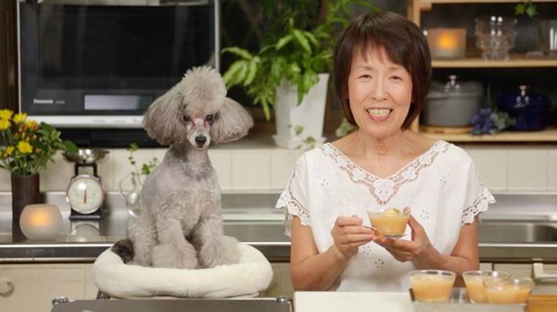 5 Anjing Peliharaan di Jepang Yang Paling Terkenal