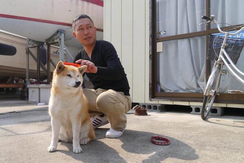 5 Anjing Peliharaan di Jepang Yang Paling Terkenal
