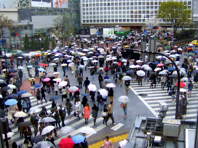 Inilah 6 Hal yang Menarik dari Musim Hujan di Jepang
