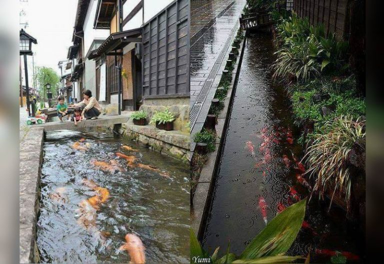 Kolam Ikan Bukan Ini Saluran Air  di Jepang 