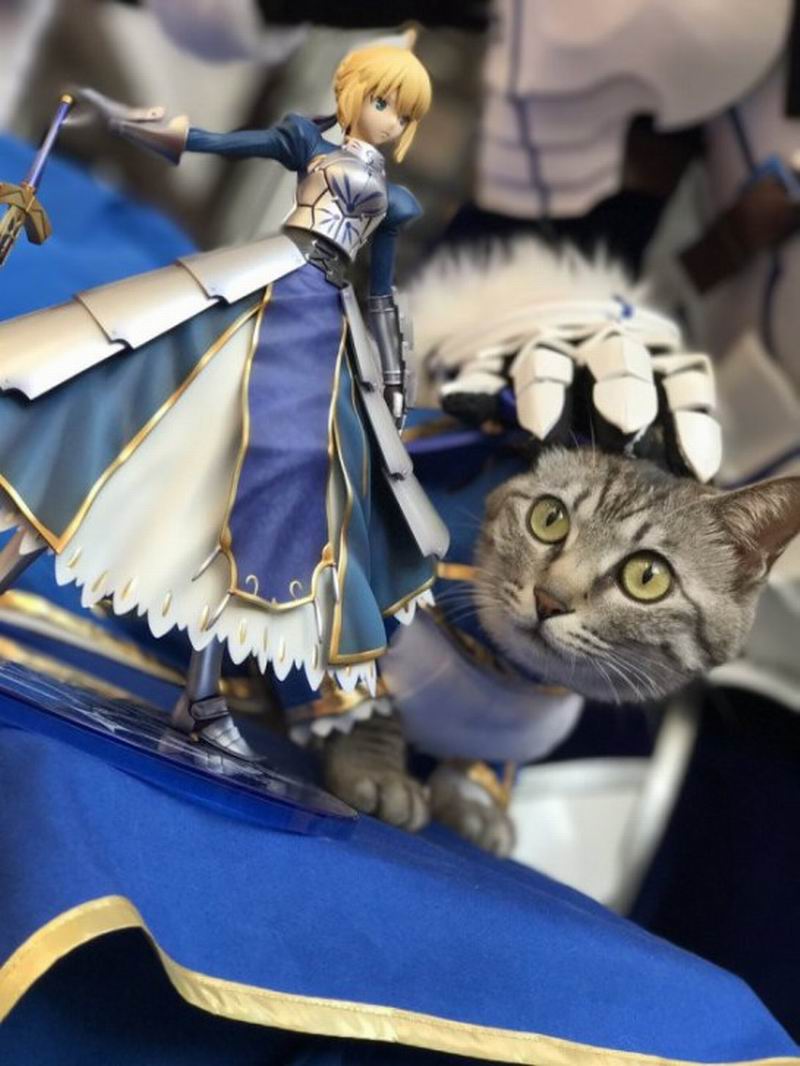 Kucing Jepang Ber-cosplay Fate/Stay Night Buat Pengunjung Festival Anime Jadi Gemas