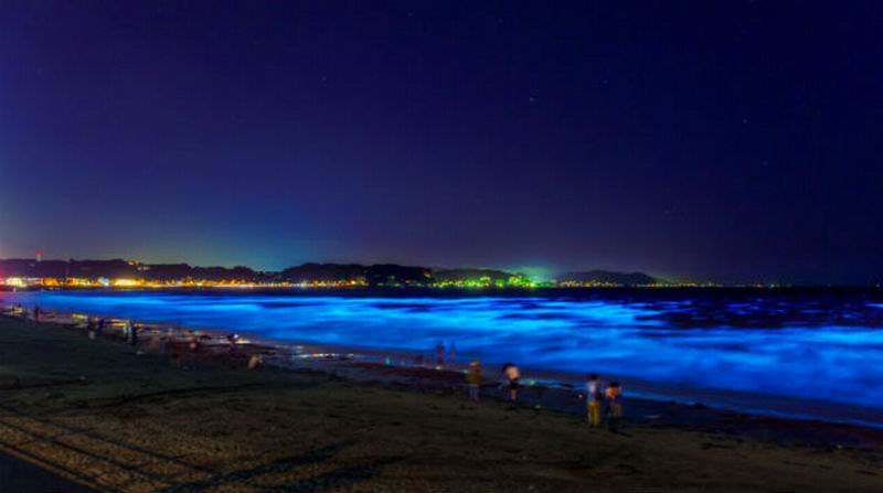 Pantai di Jepang Ini Bercahaya Menjadi Berwarna Biru di Malam Hari