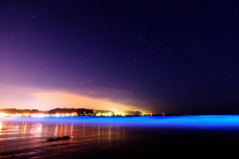 Pantai di Jepang Ini Bercahaya Menjadi Berwarna Biru di ...