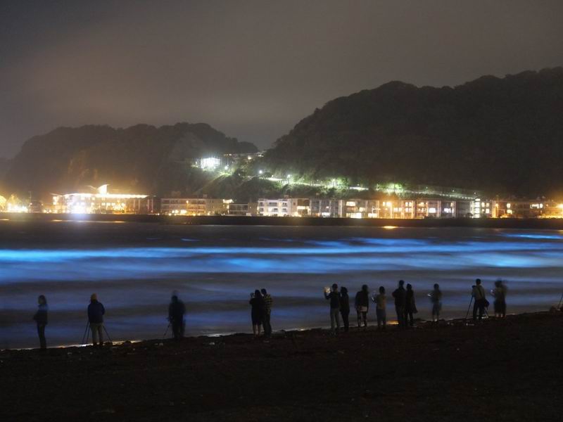 Pantai di Jepang Ini Bercahaya Menjadi Berwarna Biru di Malam Hari