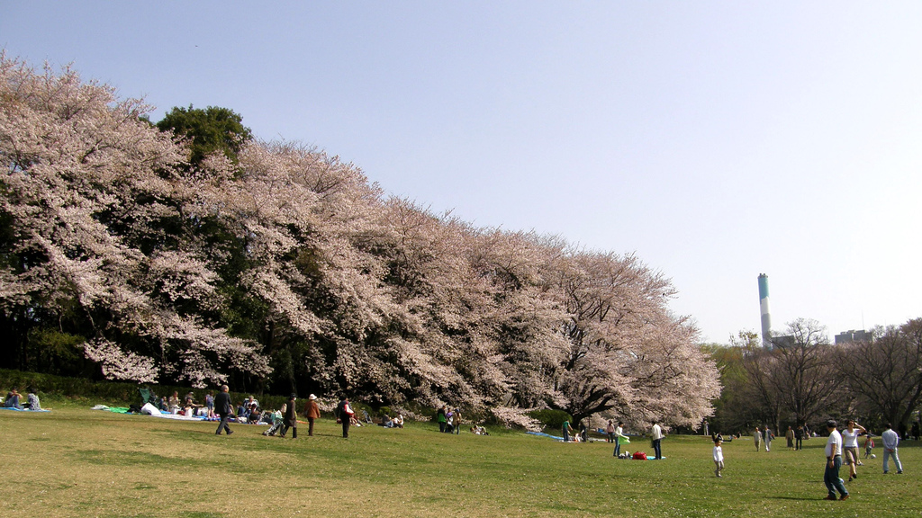 3 Taman di Jepang Yang Instagram-able di Musim Gugur