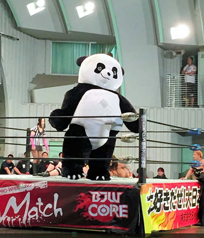 Seekor Panda Bertarung di Ring Melawan Pegulat Jepang!?