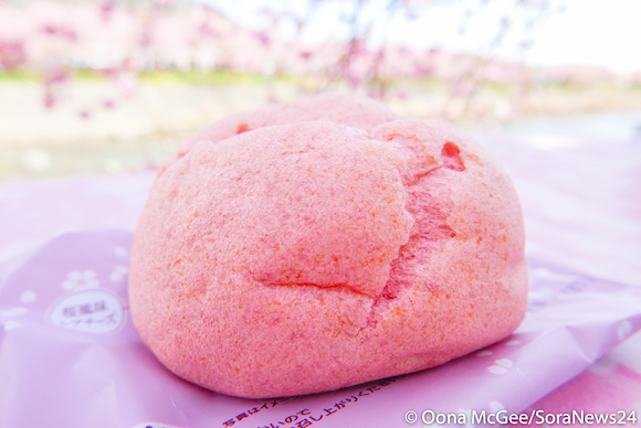 japanese-sakura-cherry-blossom-sweets-7-eleven-japan_-179.jpg