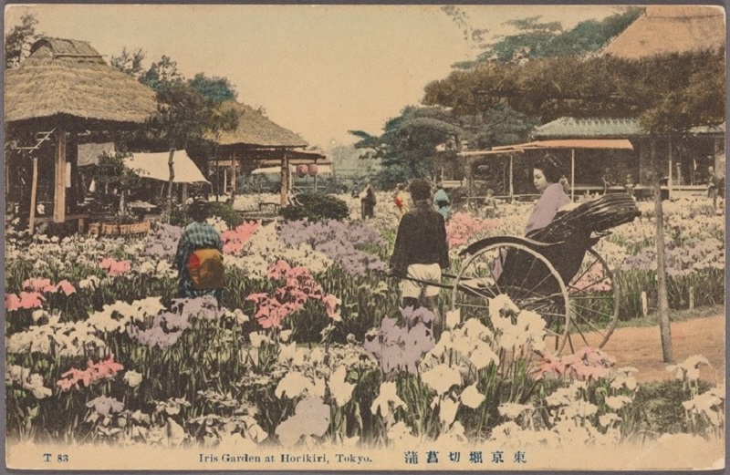 Inilah Potret Keindahan Jepang Zaman Dulu Yang Pernah Muncul Di Kartu Pos