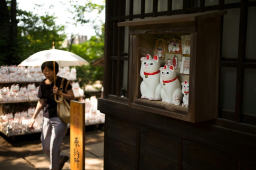 Kuil 'Kucing Keberuntungan' di Tokyo Menarik Para Instagrammers