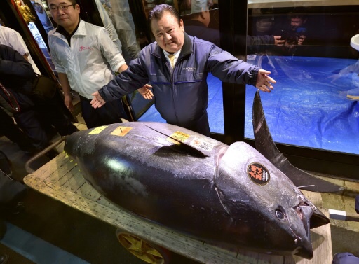 Wow! Tuna Raksasa terjual seharga 44 milyar rupiah di Jepang!
