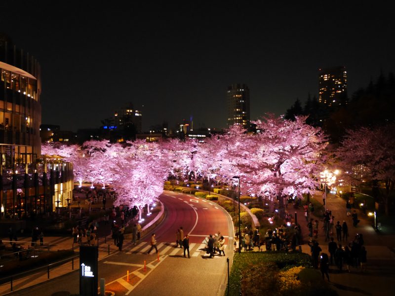 Tempat Kencan Romantis Favorit di Tokyo