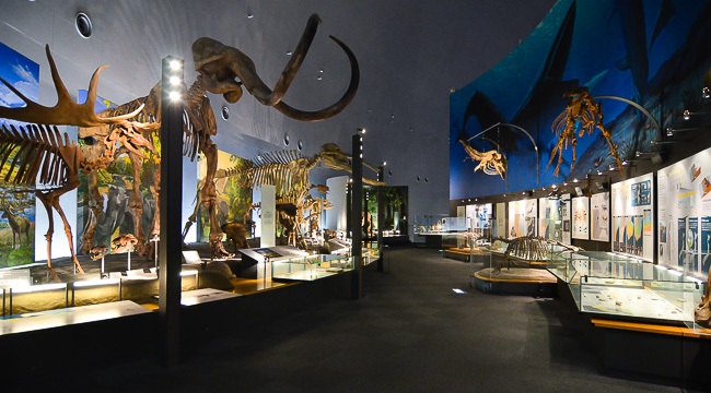 Museum Dinosaurus Fukui Salah Satu yang Terbaik di Dunia