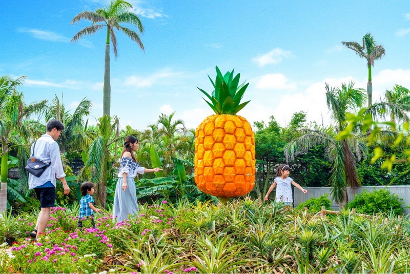 Nago Pineapple Park, Surga Nanas di Okinawa