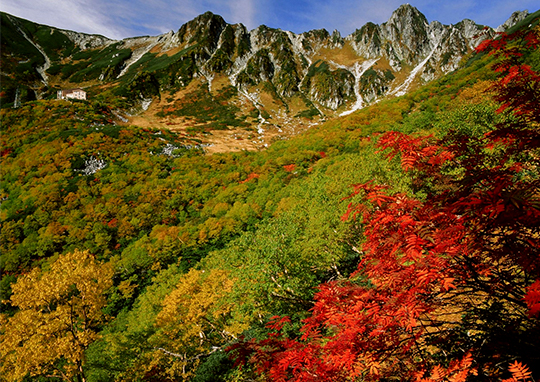 Menikmati Panorama Musim-Musim Jepang di Lembah Senjojiki