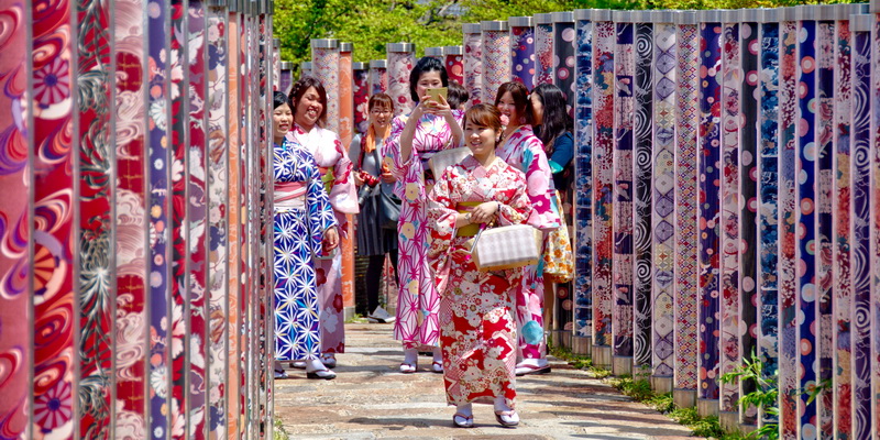 Hutan Kimono Arashiyama yang Tak Kalah Indah dengan Hutan Bambu!