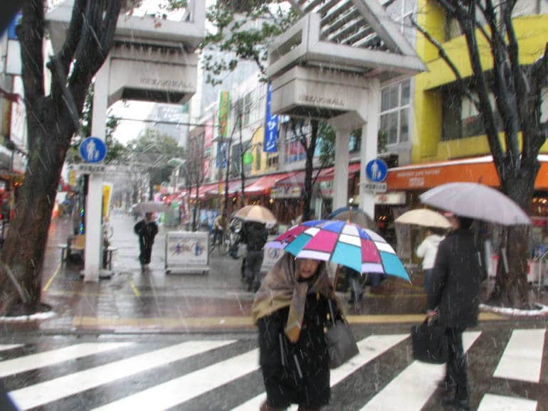 Tips-Tips Ketika Terjadi Badai dan Topan di Jepang