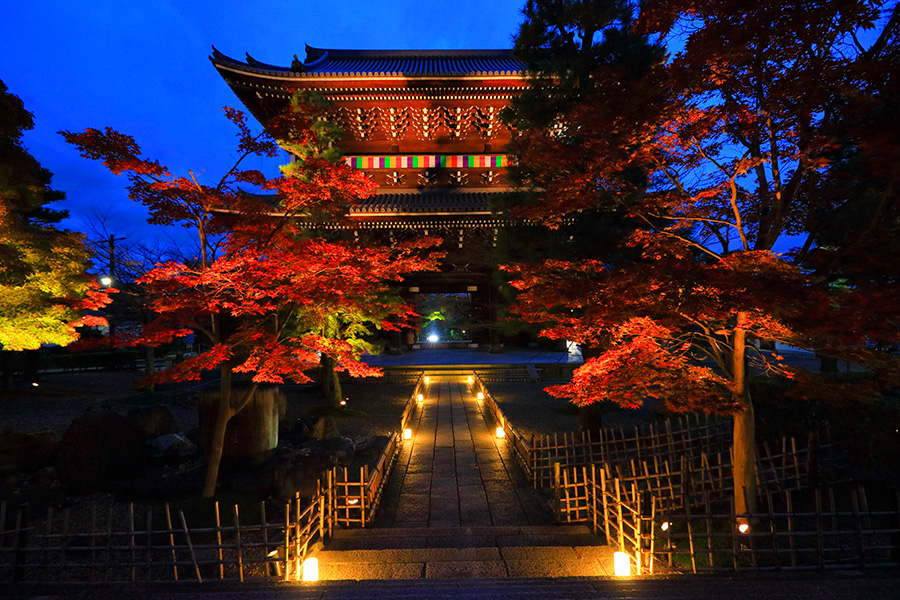 Iluminasi Musim Gugur Kuil Kurodani yang Romantis Dibuka Bulan November