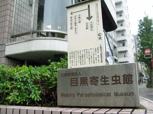 Lihat Berbagai Macam Parasit Mengerikan di Meguro Parasitological Museum