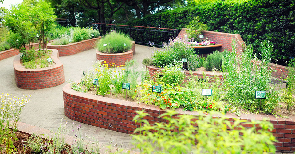 Nunobiki Herb Garden, Taman Herbal dan Bunga di Kobe