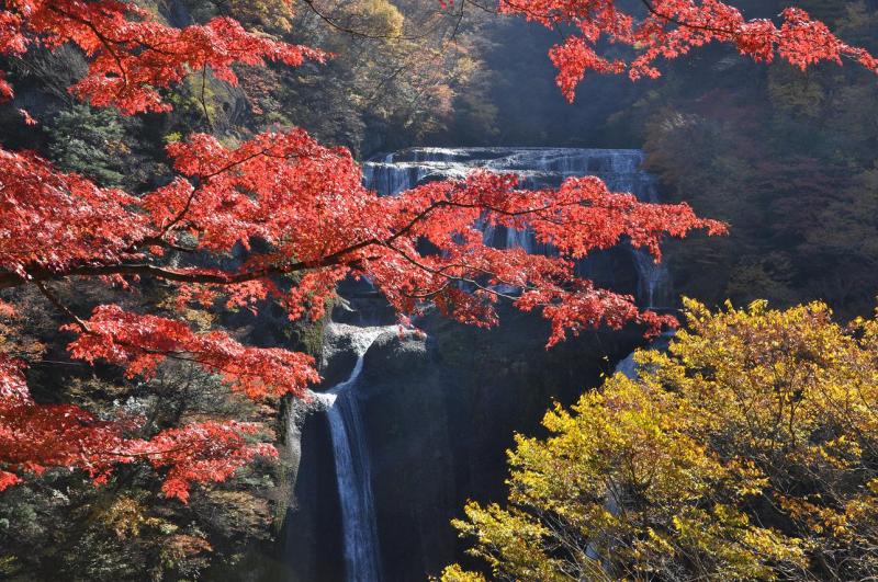 4 Tempat Wisata Untuk Menikmati Musim Gugur di Ibaraki