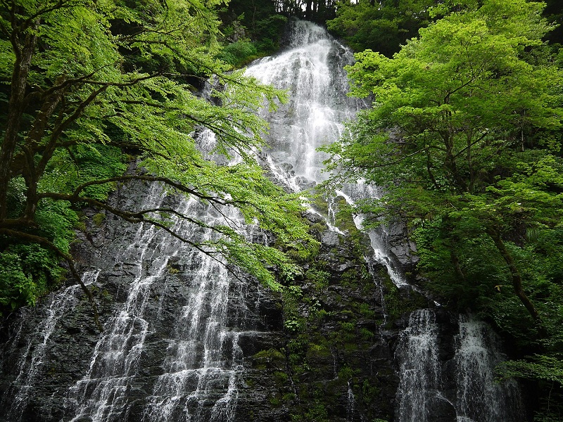 5 Tempat Wisata Alam di Prefektur Fukui
