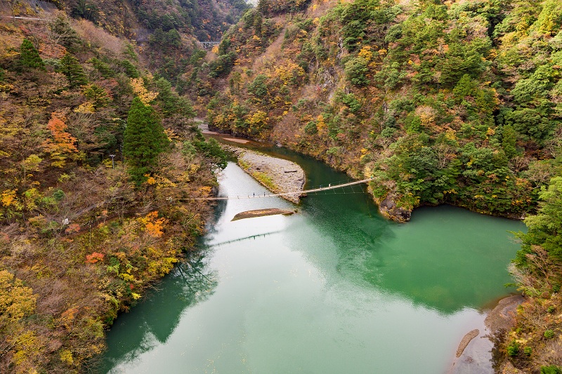 Sumatakyo, Lembah Indah dengan Jembatan Gantung Pengabul Mimpi di Shizuoka