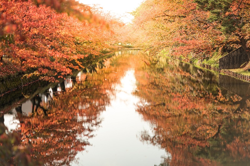 Festival Musim Gugur di Kastil Hirosaki Akan Dimulai 18 Oktober