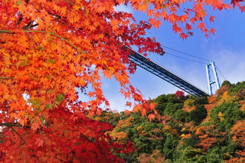 4 Tempat Wisata Untuk Menikmati Musim Gugur di Ibaraki