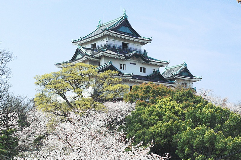 Kastil Wakayama, Simbol Kota di Atas Bukit
