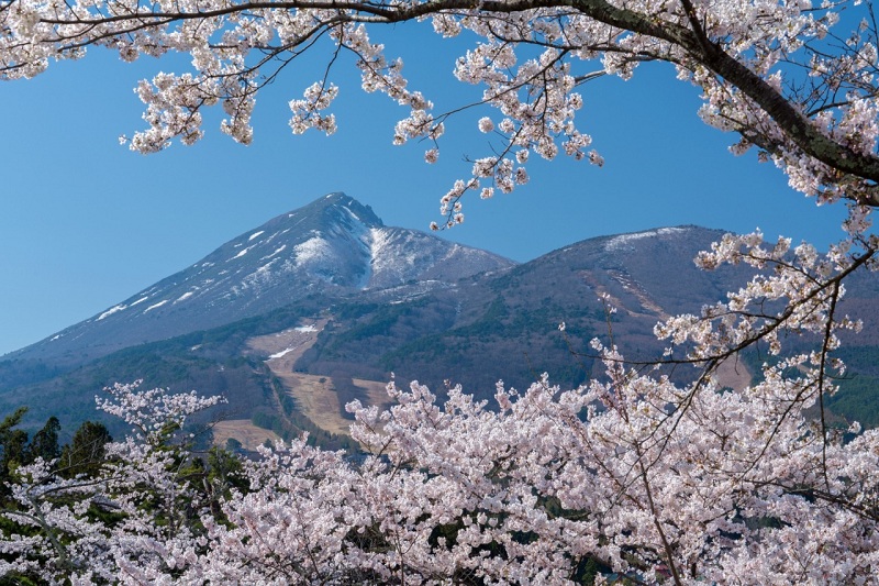 Gunung Bandai, Gunung Ikonik di Fukushima dengan Jalur Hiking dan Resor Ski