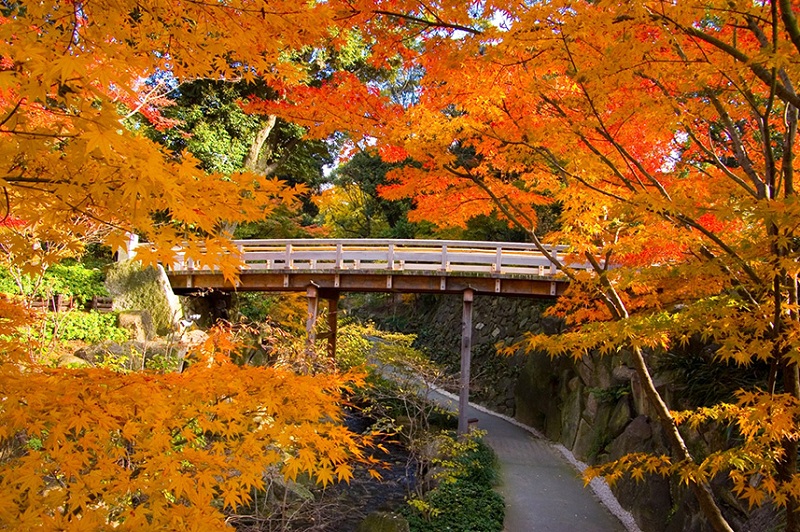 Tokugawaen dan Tokugawa Art Museum di Nagoya