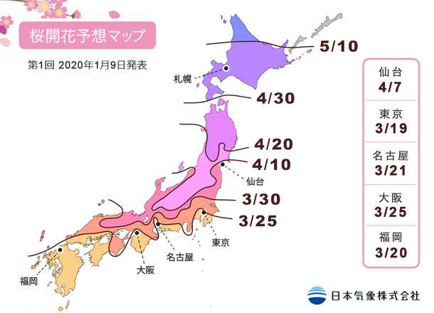 Yeay! Prakiraan Mekar Bunga Sakura 2020 Telah Dirilis Tokyo Jadi Wilayah Pertama