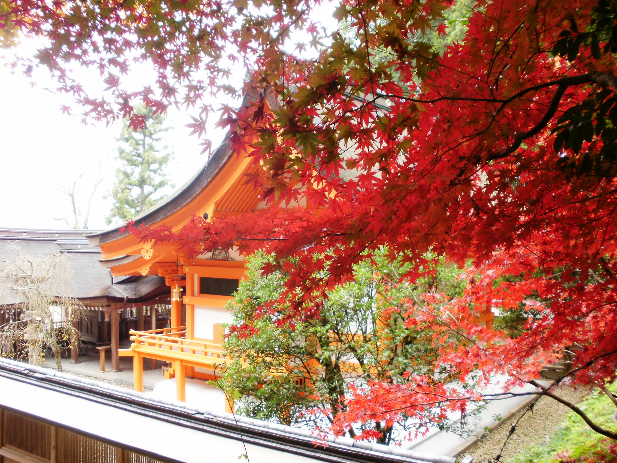 Kameoka, Kota Kecil dengan Wisata Menarik di Jepang