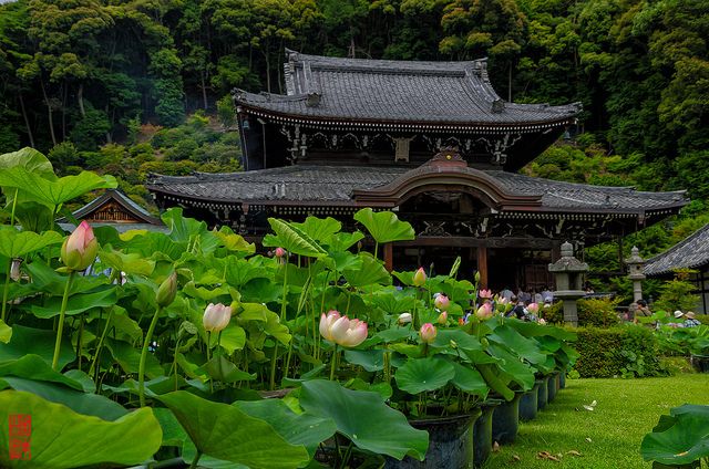 5 Tempat Wisata Penuh Sejarah di Uji Kyoto