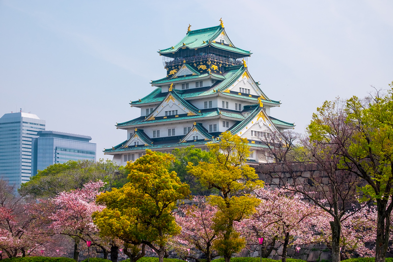 Sakura di Kastil-kastil Jepang Ini Amat Memukau