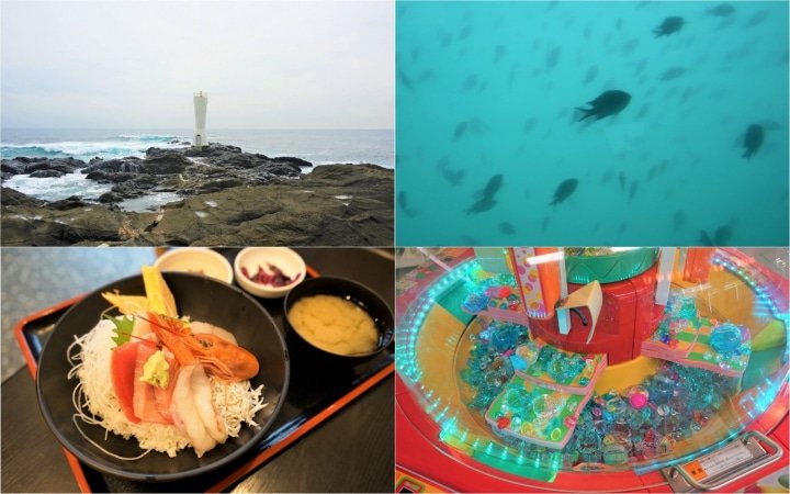 Pemandangan Bawah Laut dan Hidangan Tuna Lezat dari Tiket Perjalanan Sehari Misaki Maguro